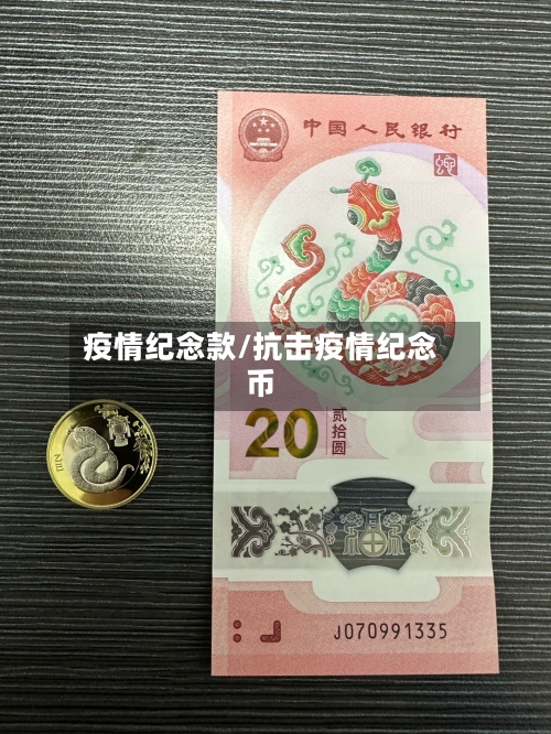 疫情纪念款/抗击疫情纪念币-第3张图片