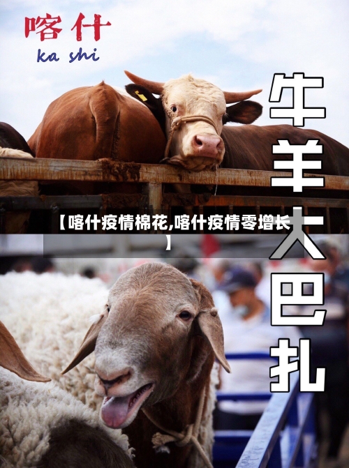 【喀什疫情棉花,喀什疫情零增长】-第1张图片