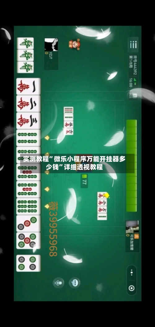 实测教程”微乐小程序万能开挂器多少钱	”详细透视教程-第1张图片