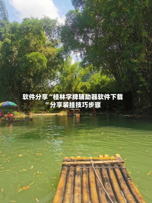 软件分享“桂林字牌辅助器软件下载”分享装挂技巧步骤-第2张图片