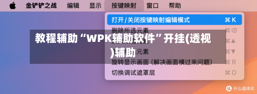 教程辅助“WPK辅助软件”开挂(透视)辅助-第3张图片