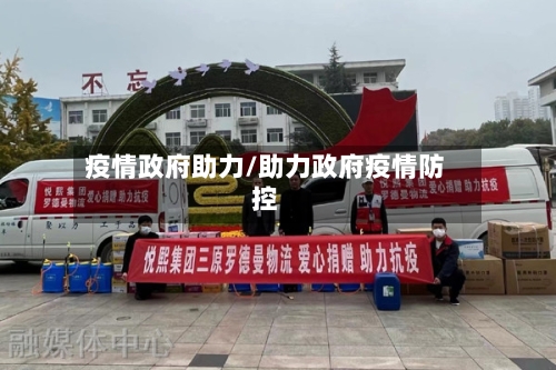 疫情政府助力/助力政府疫情防控-第1张图片