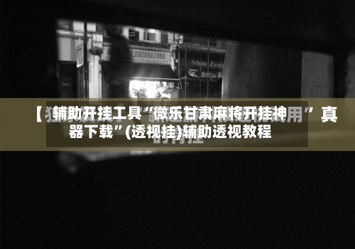 辅助开挂工具“微乐甘肃麻将开挂神器下载	”(透视挂)辅助透视教程-第2张图片