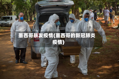 墨西哥暴发疫情(墨西哥的新冠肺炎疫情)-第2张图片