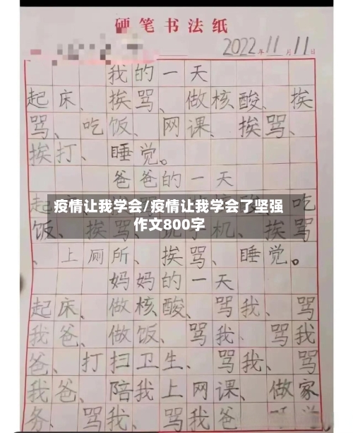 疫情让我学会/疫情让我学会了坚强作文800字-第2张图片