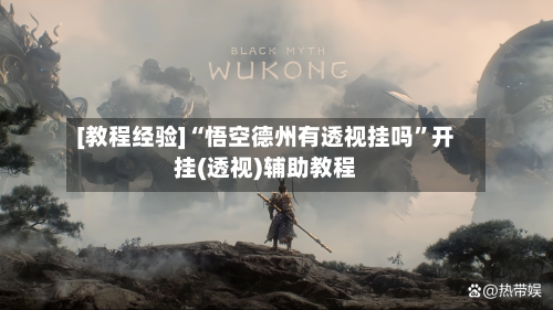 [教程经验]“悟空德州有透视挂吗”开挂(透视)辅助教程-第3张图片