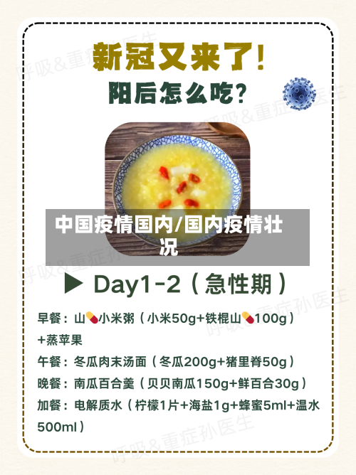 中国疫情国内/国内疫情壮况-第2张图片