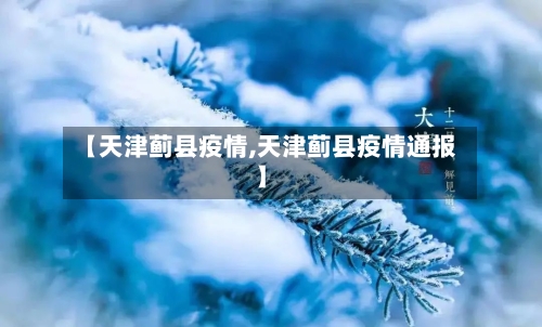 【天津蓟县疫情,天津蓟县疫情通报】-第1张图片