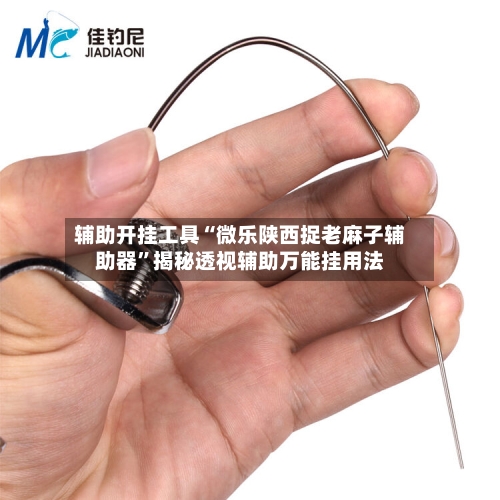 辅助开挂工具“微乐陕西捉老麻子辅助器”揭秘透视辅助万能挂用法-第3张图片