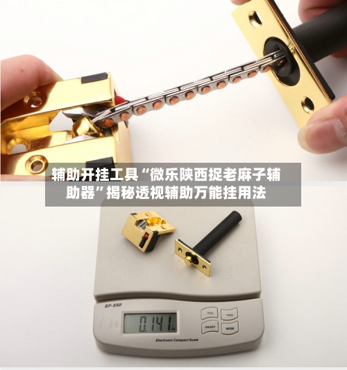 辅助开挂工具“微乐陕西捉老麻子辅助器	”揭秘透视辅助万能挂用法-第2张图片