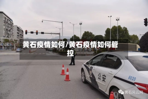 黄石疫情如何/黄石疫情如何管控-第3张图片
