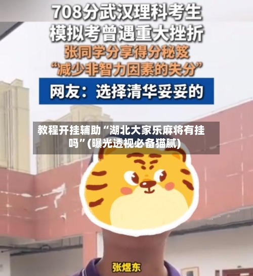 教程开挂辅助“湖北大家乐麻将有挂吗”(曝光透视必备猫腻)-第3张图片