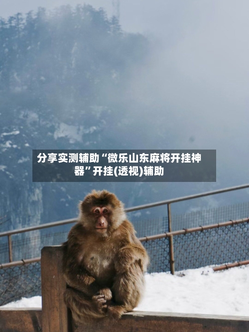 分享实测辅助“微乐山东麻将开挂神器”开挂(透视)辅助-第1张图片