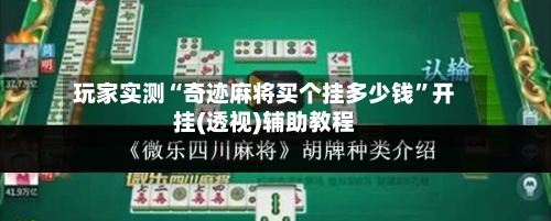 玩家实测“奇迹麻将买个挂多少钱”开挂(透视)辅助教程-第3张图片