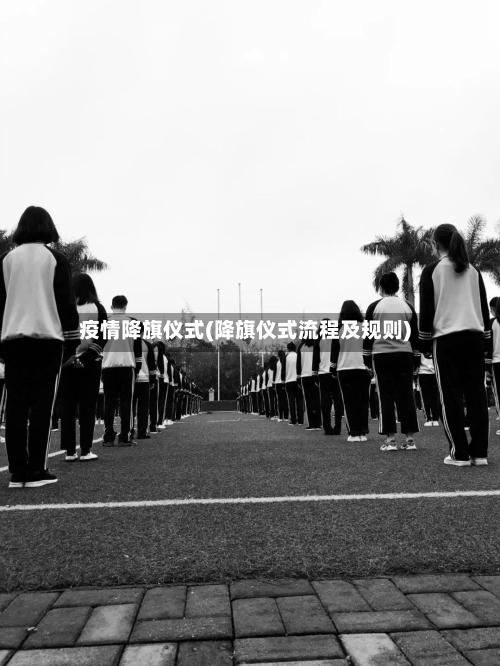 疫情降旗仪式(降旗仪式流程及规则)-第1张图片