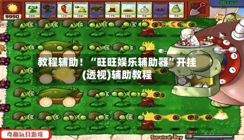 教程辅助！“旺旺娱乐辅助器”开挂(透视)辅助教程-第3张图片