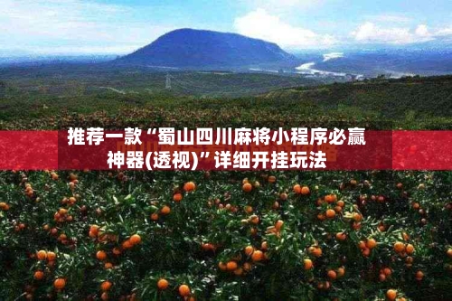 推荐一款“蜀山四川麻将小程序必赢神器(透视)”详细开挂玩法-第2张图片