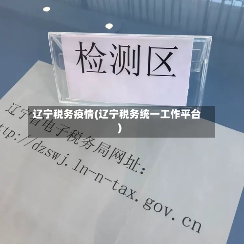 辽宁税务疫情(辽宁税务统一工作平台)-第2张图片