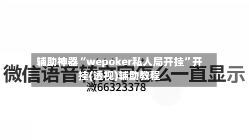 辅助神器“wepoker私人局开挂”开挂(透视)辅助教程-第3张图片