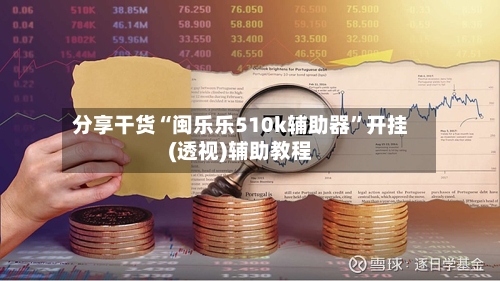 分享干货“闽乐乐510k辅助器	”开挂(透视)辅助教程-第2张图片