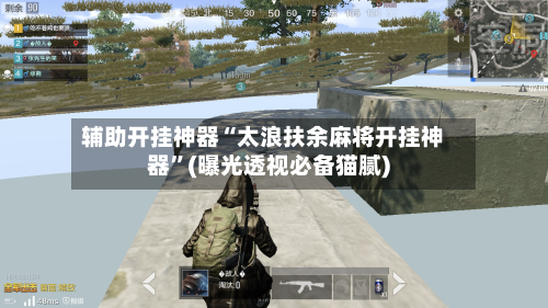 辅助开挂神器“太浪扶余麻将开挂神器”(曝光透视必备猫腻)-第1张图片