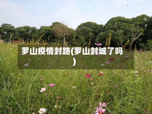 罗山疫情封路(罗山封城了吗)-第1张图片