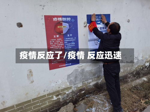 疫情反应了/疫情 反应迅速-第1张图片