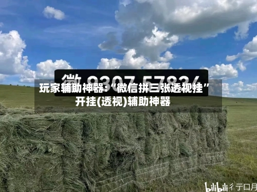 玩家辅助神器:“微信拼三张透视挂”开挂(透视)辅助神器-第1张图片