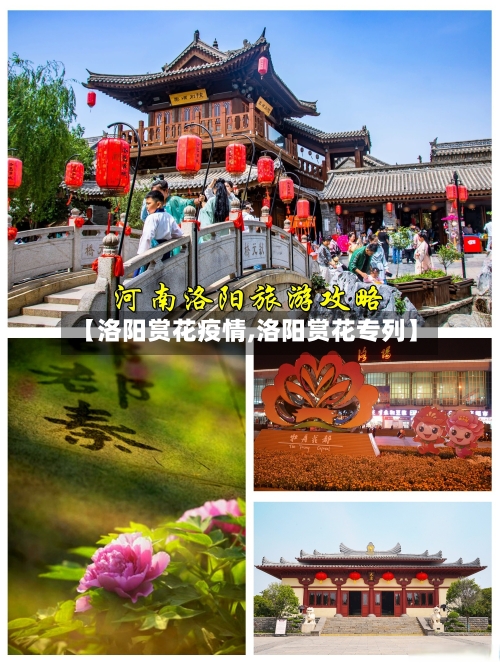 【洛阳赏花疫情,洛阳赏花专列】-第1张图片