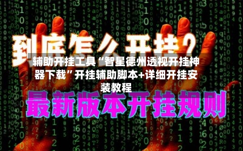 辅助开挂工具“智星德州透视开挂神器下载	”开挂辅助脚本+详细开挂安装教程-第1张图片