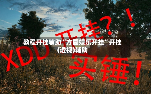 教程开挂辅助“方圆娱乐开挂”开挂(透视)辅助-第2张图片