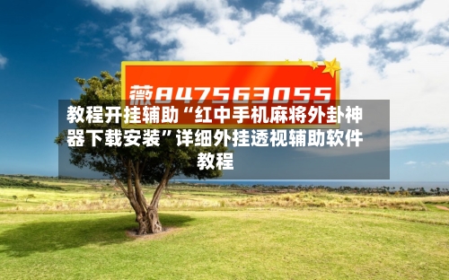 教程开挂辅助“红中手机麻将外卦神器下载安装	”详细外挂透视辅助软件教程-第1张图片