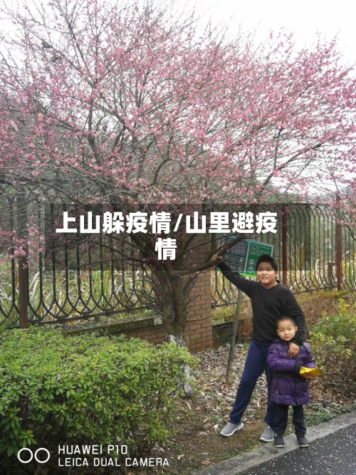 上山躲疫情/山里避疫情-第2张图片