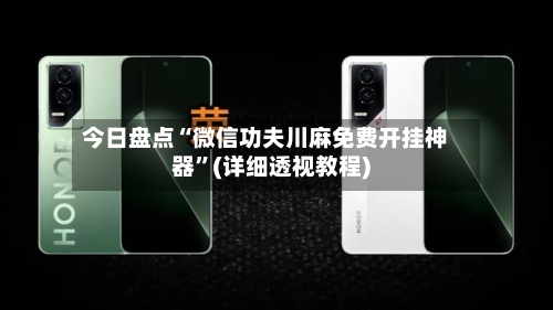 今日盘点“微信功夫川麻免费开挂神器”(详细透视教程)-第2张图片