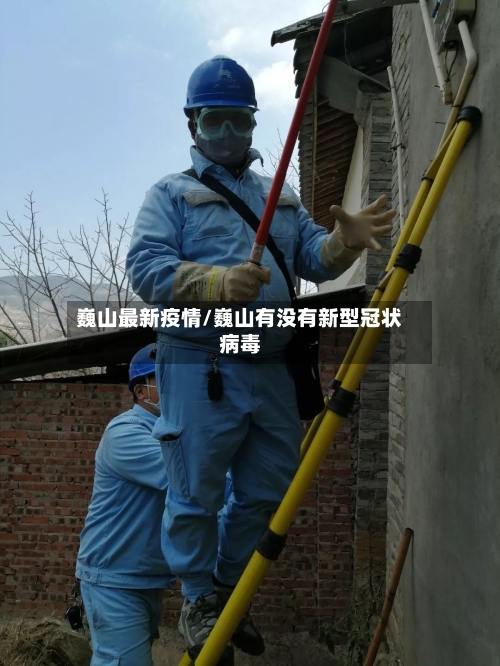 巍山最新疫情/巍山有没有新型冠状病毒-第2张图片