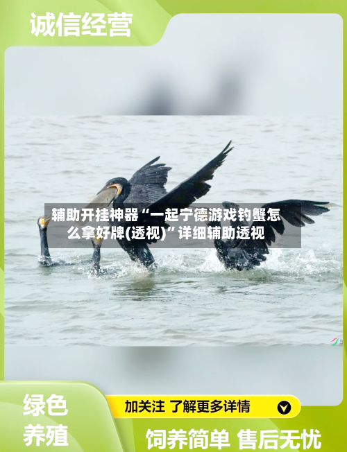 辅助开挂神器“一起宁德游戏钓蟹怎么拿好牌(透视)	”详细辅助透视-第2张图片