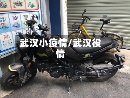 武汉小疫情/武汉役情-第2张图片