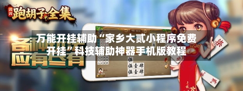 万能开挂辅助“家乡大贰小程序免费开挂	”科技辅助神器手机版教程-第3张图片