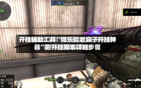 开挂辅助工具“微乐捉老麻子开挂神器	”附开挂脚本详细步骤-第2张图片