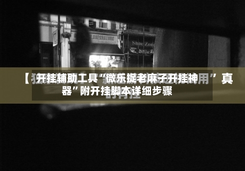 开挂辅助工具“微乐捉老麻子开挂神器”附开挂脚本详细步骤-第3张图片