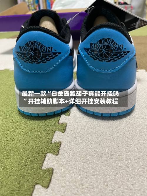 最新一款“白金岛跑胡子真能开挂吗	”开挂辅助脚本+详细开挂安装教程-第3张图片