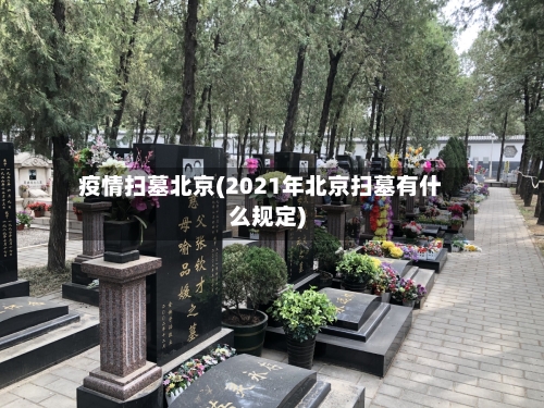 疫情扫墓北京(2021年北京扫墓有什么规定)-第1张图片