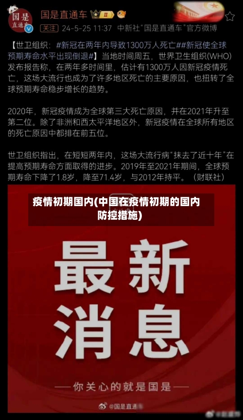 疫情初期国内(中国在疫情初期的国内防控措施)-第2张图片