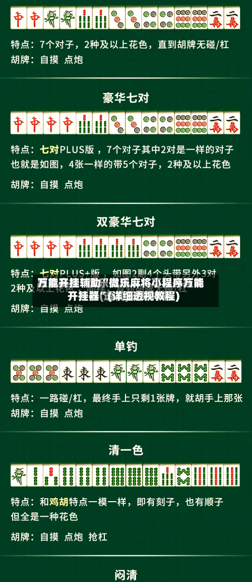 万能开挂辅助“微乐麻将小程序万能开挂器”(详细透视教程)-第3张图片
