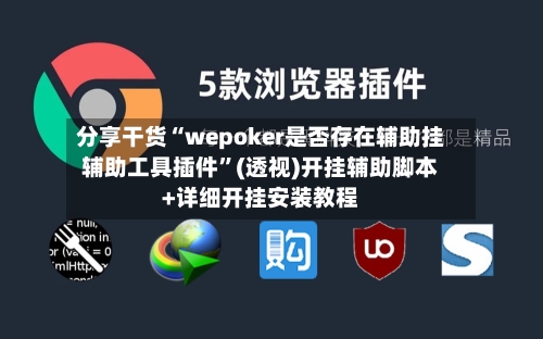 分享干货“wepoker是否存在辅助挂辅助工具插件	”(透视)开挂辅助脚本+详细开挂安装教程-第1张图片
