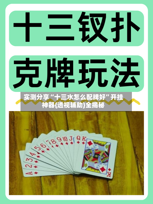 实测分享“十三水怎么配牌好	”开挂神器{透视辅助}全揭秘-第2张图片