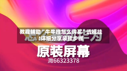 教程辅助“牛牛挂怎么购买	”透视挂!详细分享装挂步骤-第2张图片