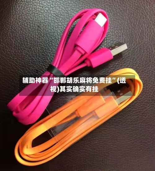 辅助神器“邯郸胡乐麻将免费挂”(透视)其实确实有挂-第1张图片