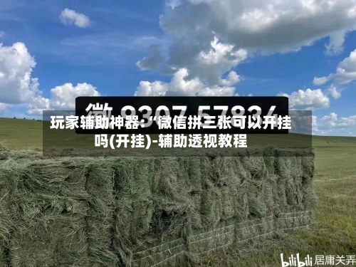 玩家辅助神器:“微信拼三张可以开挂吗(开挂)-辅助透视教程-第1张图片