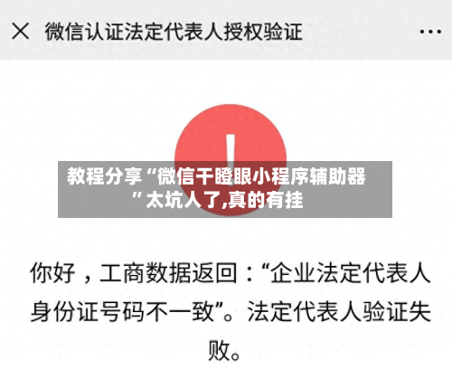 教程分享“微信干瞪眼小程序辅助器”太坑人了,真的有挂-第3张图片